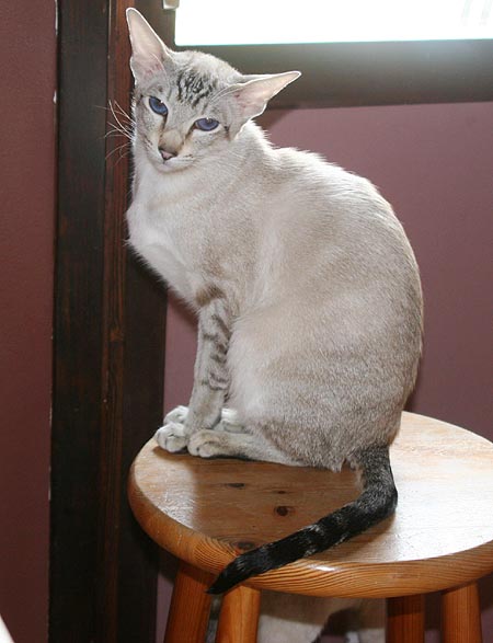 Foto: Carolin Skirl