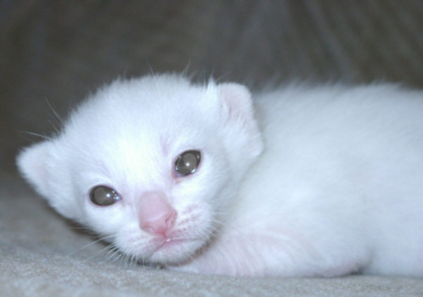 Foto: Susanne Cramer-Rößner