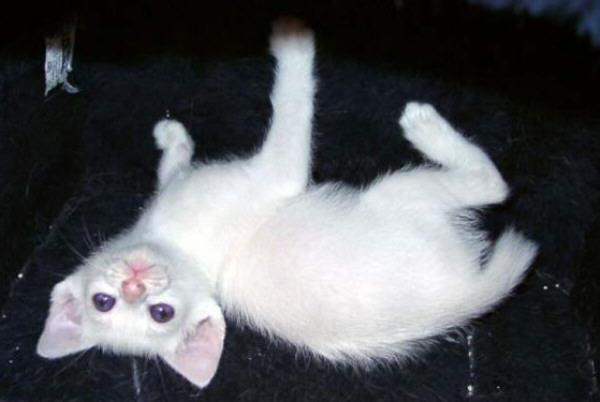 Foto: Susanne Cramer-Rößner