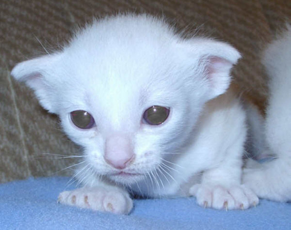 Foto: Susanne Cramer-Rößner