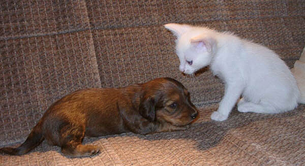 Foto: Susanne Cramer-Rößner