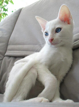 Lilith 27/06/2003   Foto: Carolin Skirl