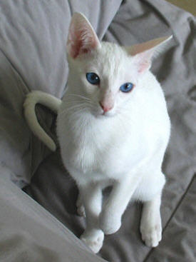 Lilith 29/08/2003   Foto: Carolin Skirl