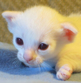 Lilith am 05/04/2003   Foto: Carolin Skirl