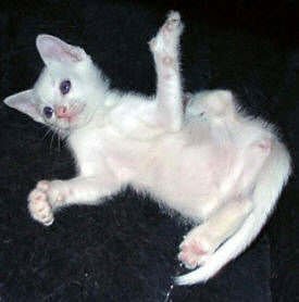 Lilith 27/04/2003   Foto: Susanne Cramer-Rößner