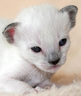 Nami 03/04/2005   Foto: Carolin Skirl