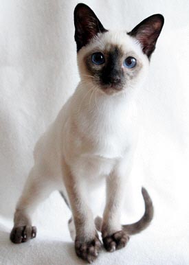 Nami 22/07/2005   Foto: Carolin Skirl