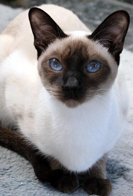 Nami 23/03/2006   Foto: Carolin Skirl