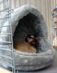 Angel in Altlandsberg