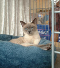 Loona in Altlandsberg