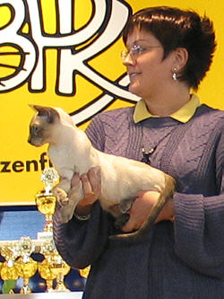 Yazoo bekommt den Rassesieg