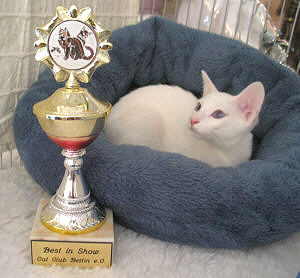 Lilith mit dem Pokal fr Best in Show