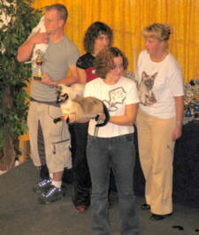 Angel bei der Vergabe zur Best in Show