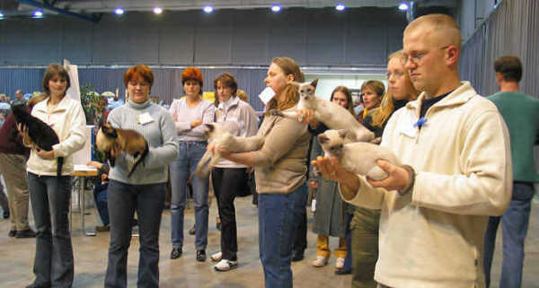 Entscheidung zur Vergabe Best of Best