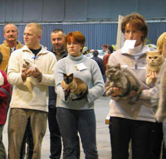 Angel und Yazoo bei der Entscheidung zur Best in Show
