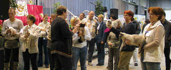 Entscheidung zur Vergabe Best of Best Thaikatzen