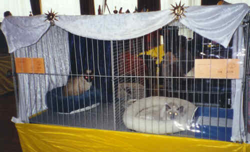 Angel und Loona in Grimmen