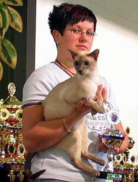 Yazoo beim Best Variety am 11/09/2004