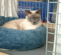 Loona in Hohen Neuendorf