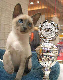 Yazoo mit seinem Pokal