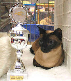 Angel mit ihrem Pokal