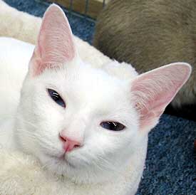 Lilith am 05/02/2005