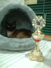 Angel mit Ihrem Pokal