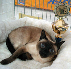 Angel mit ihrem Pokal 06/03/2004