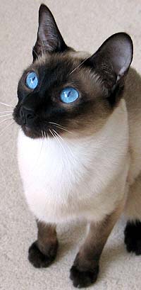 Louise van de Banninkshof