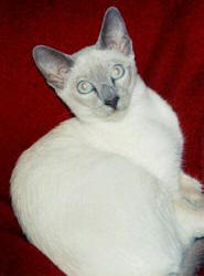 copyright: Beatrix Rahn