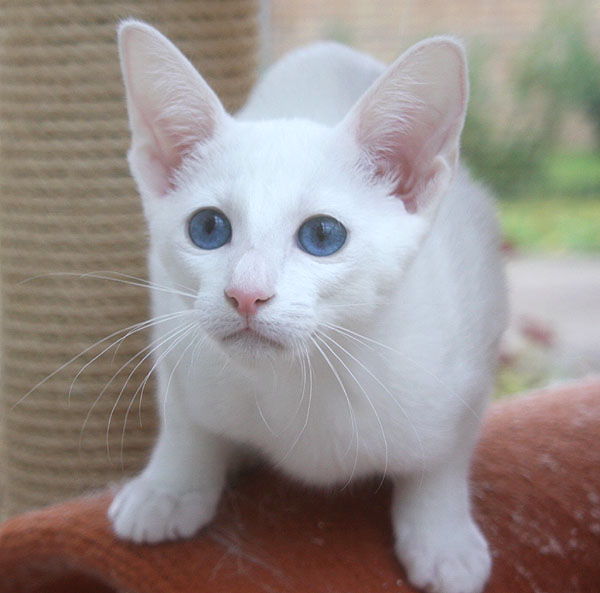 Oktober 2008 - Foto: Carolin Skirl