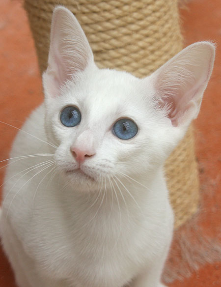 Oktober 2008 - Foto: Carolin Skirl