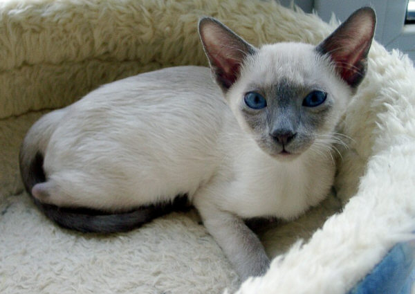 Yazoo 08/11/03   Foto: Susanne Cramer-Rößner