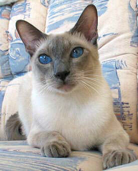 Yazoo 10/08/2003   Foto: Carolin Skirl