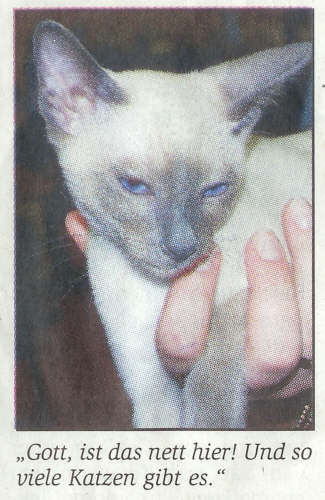 Yungayas Yazoo im Oranienburger Generalanzeiger   Foto: D&aouml;rte Krohn